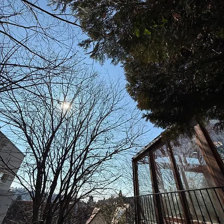 Cozy With Garden In Free Parking Graz