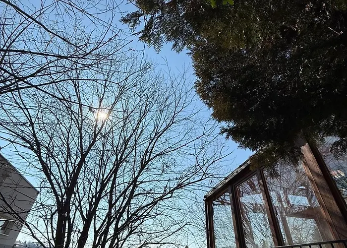 Cozy With Garden In Free Parking 格拉茨