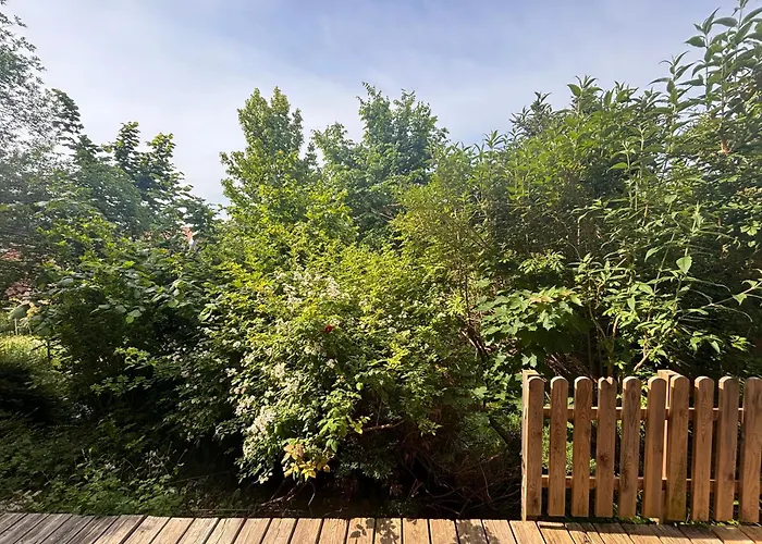 Cozy With Garden In Free Parking 公寓 *